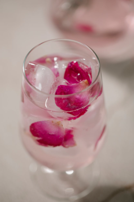 Rosetastic Gin Fizz